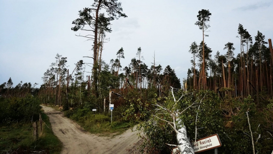 Zerwane dachy, linie energetyczne, powalone drzewa - taki był krajobraz w wielu polskich gminach po przejściu niszczycielskiej i tragicznej w skutkach sierpniowej nawałnicy. 
