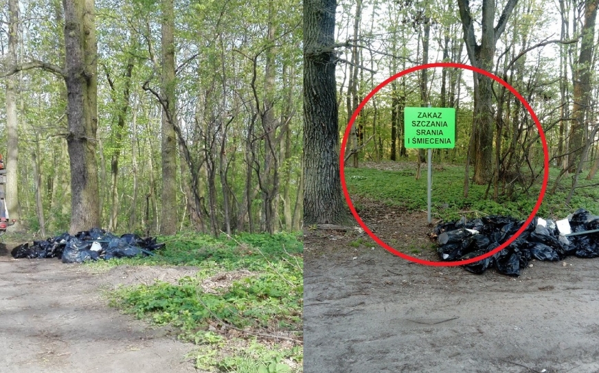 O ustawieniu tablicy na skraju lasku na ulicy Biskupskiej w Iławie dowiedzieliśmy się w ostatnią sobotę. Gdy w poniedziałek rano odwiedziliśmy to miejsce, tablicy już nie było.