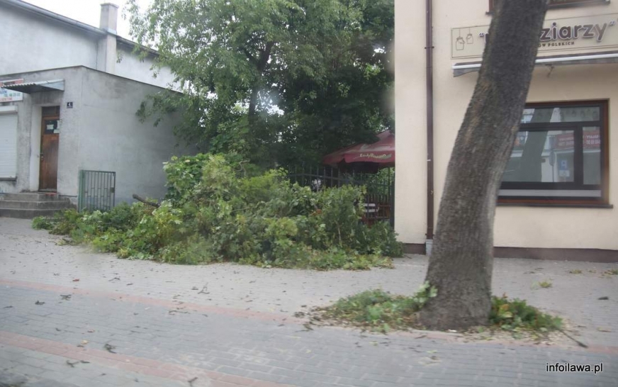 W Iławie ostatnio mocniej powiało 21 czerwca. Skutkiem były m.in. liczne złamane konary drzew.