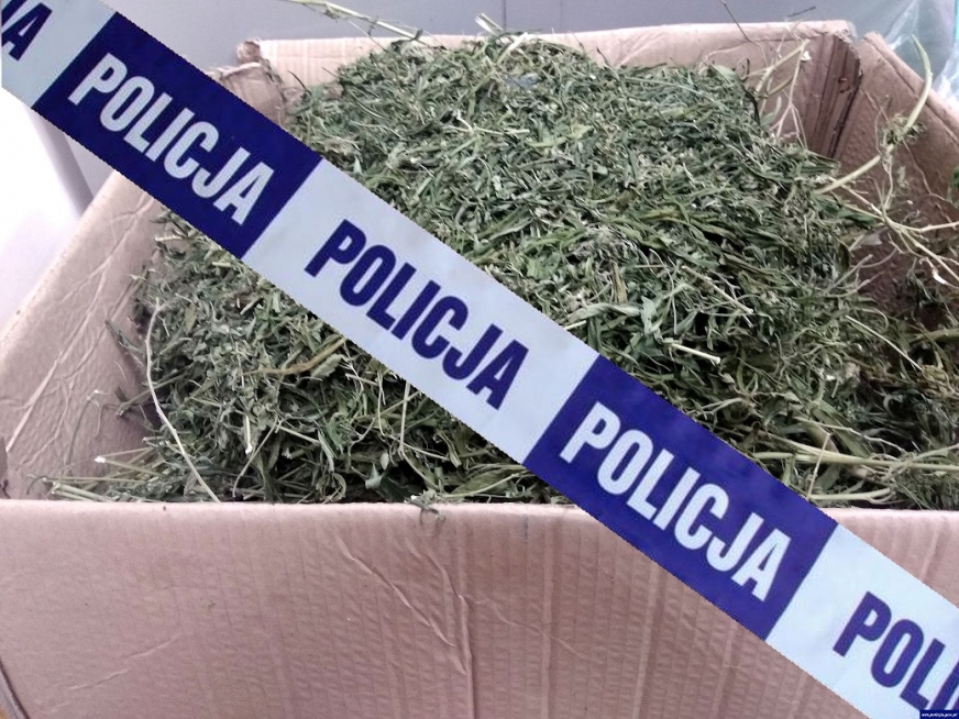 Nawet 10-letnia odsiadka grozi 20-latkowi z gminy Nowe Miasto Lubawskie. W jego mieszkaniu funkcjonariusze zabezpieczyli ponad kilogram marihuany.