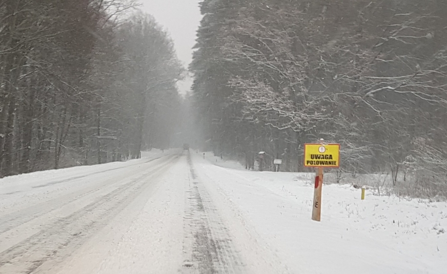 Tabliczka z ostrzeżeniem o polowaniu przy drodze krajowej nr 16 w gminie Iława. Polowanie Koła Łowieckiego Łoś w tym miejscu, w lesie Rydzewo, jest planowane na 12 stycznia.