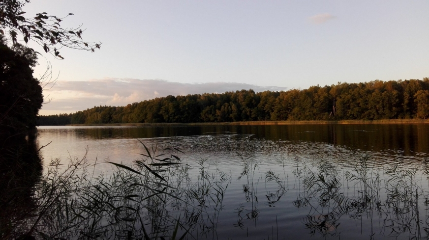 Jesienne uroki jeziora Silm koło Iławy...