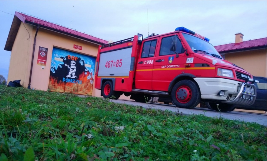 Strażacy ochotnicy z Dobrzyk w gminie Zalewo odświeżyli wizerunek bramy garażowej swojej remizy.