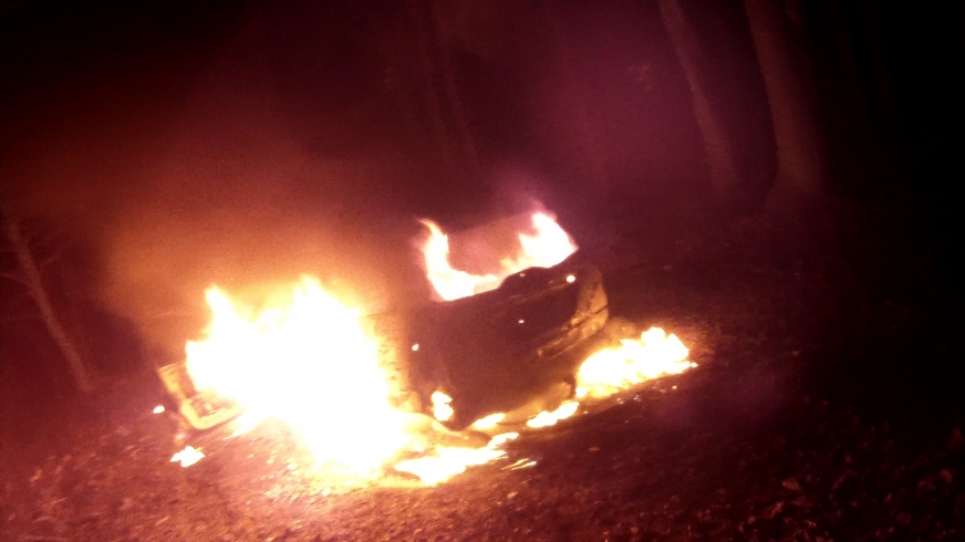 Ford fiesta stanął w płomieniach niedaleko Piotrkowa w gminie Susz.
