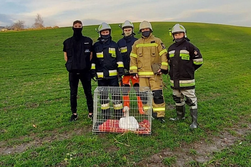 Skuteczną interwencję przeprowadzili inspektorzy OTOZ Animals w Iławie z pomocą strażaków z jednostki OSP w Rudzienicach.