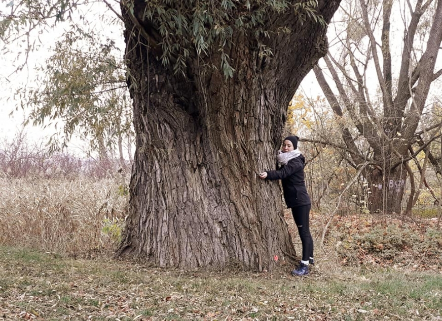 Magdalena Rudnicka obejmuje wierzbę, którą chciałaby ustanowić pomnikiem przyrody. Drzewo ma w pierśnicy prawie 5,5 m!