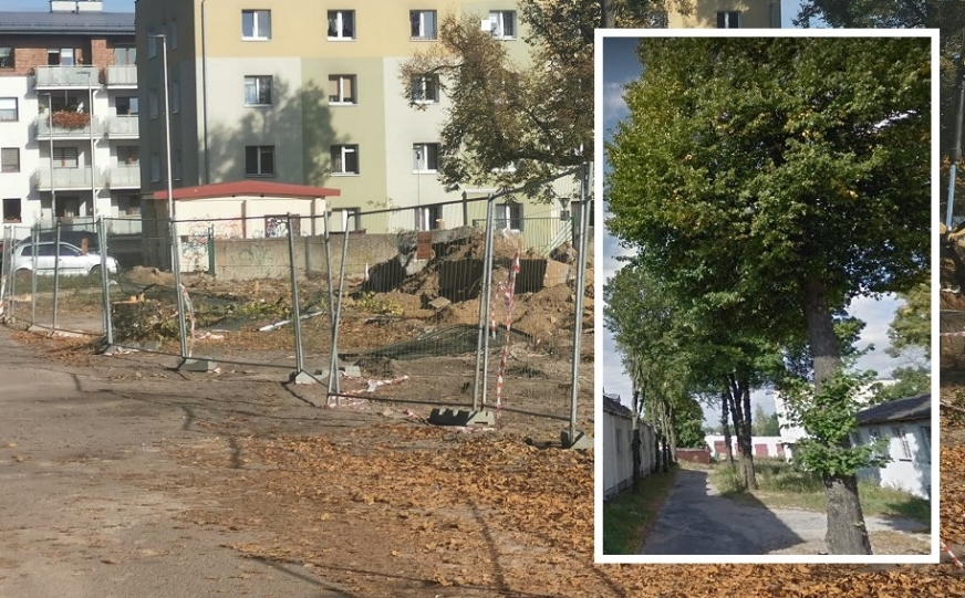 Na ulicy Kościuszki w Iławie wycięto alejkę drzew. Powodem była 