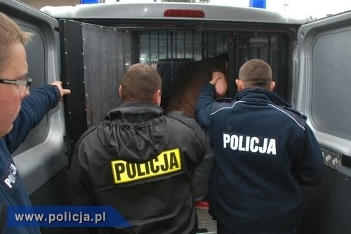 25-letni sprawca kradzieży rozbójniczej w Nowym Mieście Lubawskim - zatrzymany.