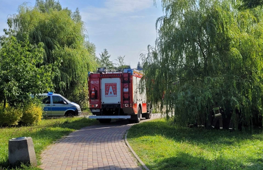 Poranny pożar nad Iławką.