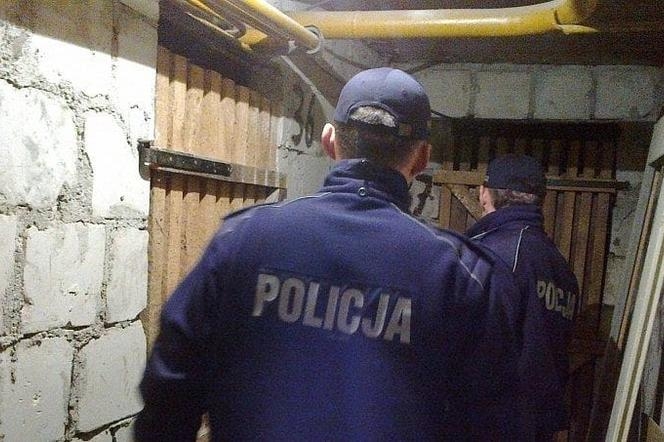 Policjanci powiatu iławskiego nie ustają w tropieniu narkotykowych przestępstw.