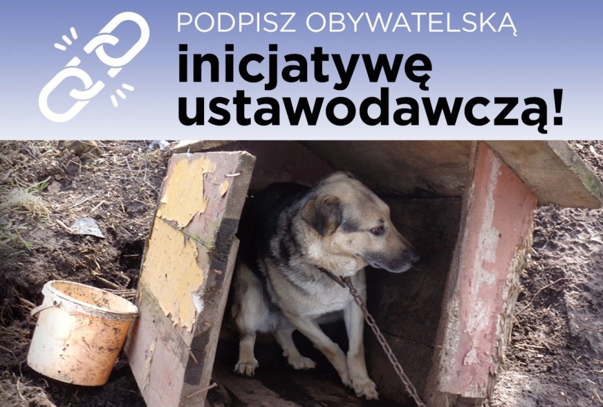 Akcja zbierania podpisów poparcia obywatelskiej inicjatywy ustawodawczej „Zrywamy łańcuchy” - także w Iławie.