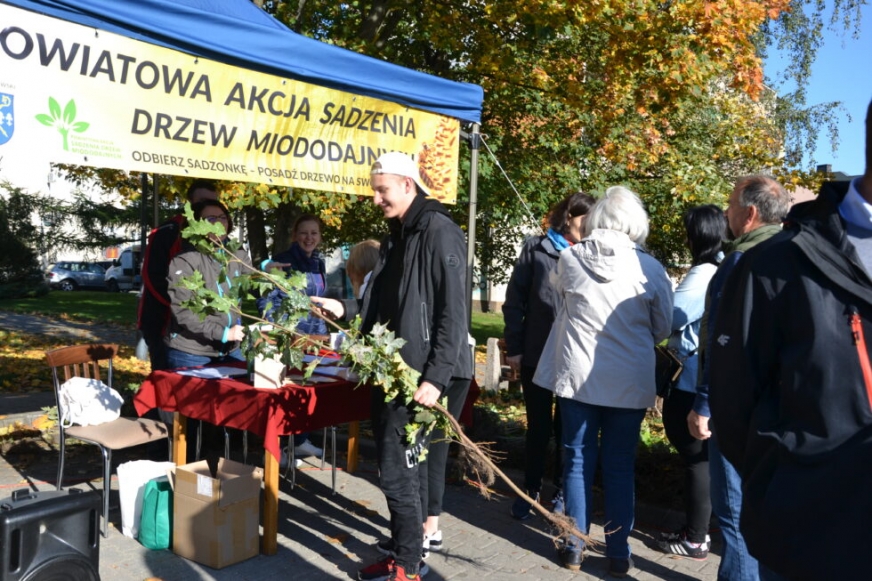 Już wkrótce rusza kolejna Powiatowa Akcja Sadzenia Drzew Miododajnych. Zaplanowano posadzenie 1 500 sztuk drzew i krzewów.