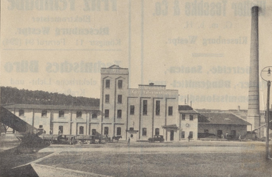 Wycinek z gazety ze zbiorów Pani Moniki Krajnik