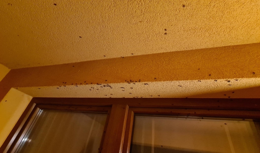 Okno jednego z domów przy ul. Wega w Nowej Wsi pod Iławą