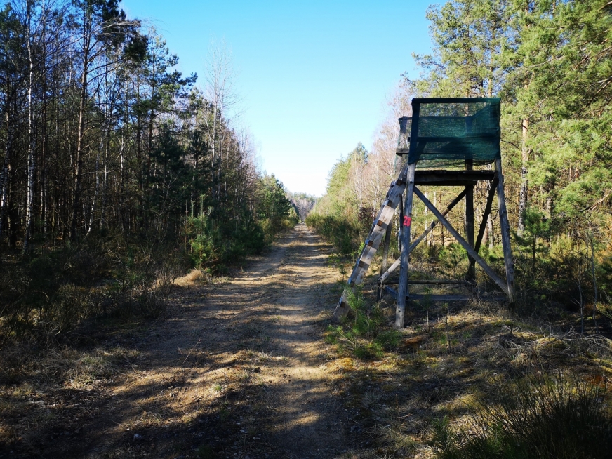 Gminny odcinek ścieżki po śladzie dawnej linii kolejowej - stan aktualny.