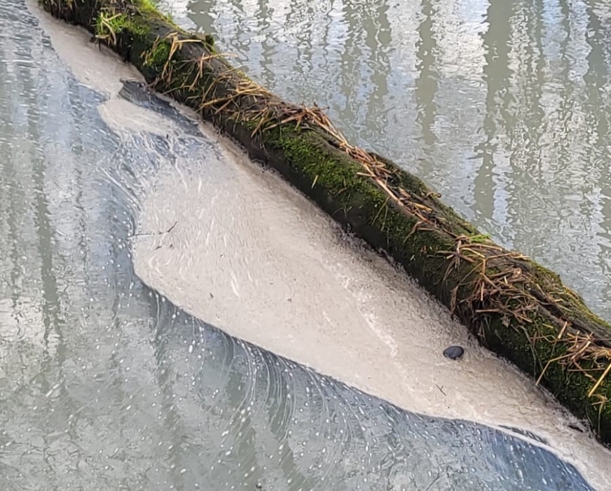 Ścieki w jeziorze Brzozy! Zdjęcia pochodzą z czwartku 11 grudnia 2025