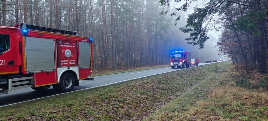  Autem podróżowała rodzina z dwójką dzieci.