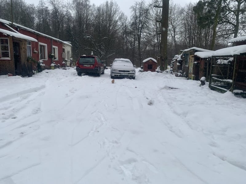 Na tej posesji w Praszkach (gmina Iława) doszło w Sylwestra do ataku agresywnego zwierzęcia na kobietę 