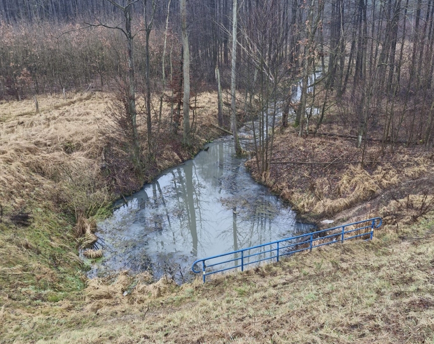 Zdjęcia ukazujące ścieki w kanale przy jez. Brzozy otrzymywaliśmy od naszych Czytelników także już po publikacji pierwszego artykułu na ten temat.