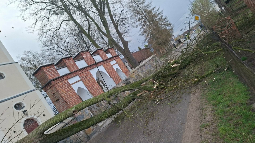 W miejscowości Lipinki (powiat nowomiejski), w pobliżu kościoła, drzewo przewróciło się na linię energetyczną oraz drogę, całkowicie blokując przejazd.