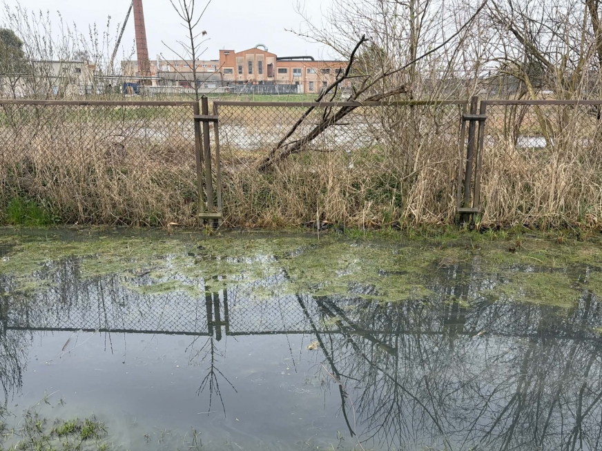 Sytuacja na ulicy Wojska Polskiego, na granicy działki 