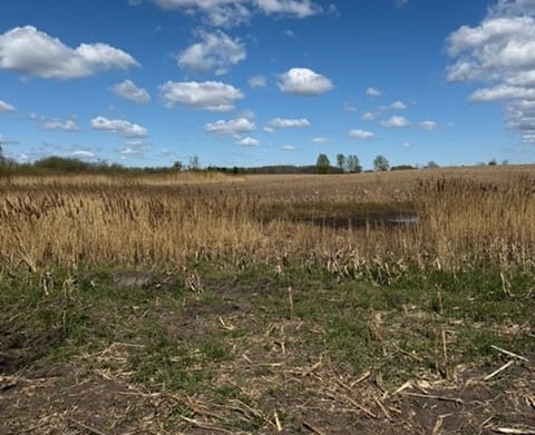 Do odkrycia zwłok doszło w tym miejscu, na terenie gminy Susz