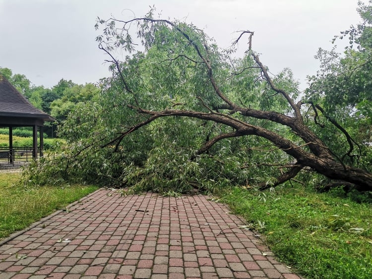 Ten weekend w Iławie i powiecie pełen pogodowych skrajności! Sprawdź, co mówią prognozy.