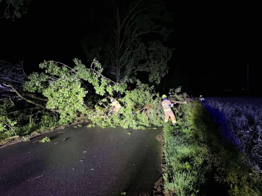 Powalone drzewo na drodze Omule – Prątnica.
