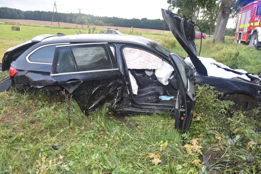Pijany kierowca rozbił BMW w gminie Zalewo. 27-latek dobrowolnie poddał się surowej karze.