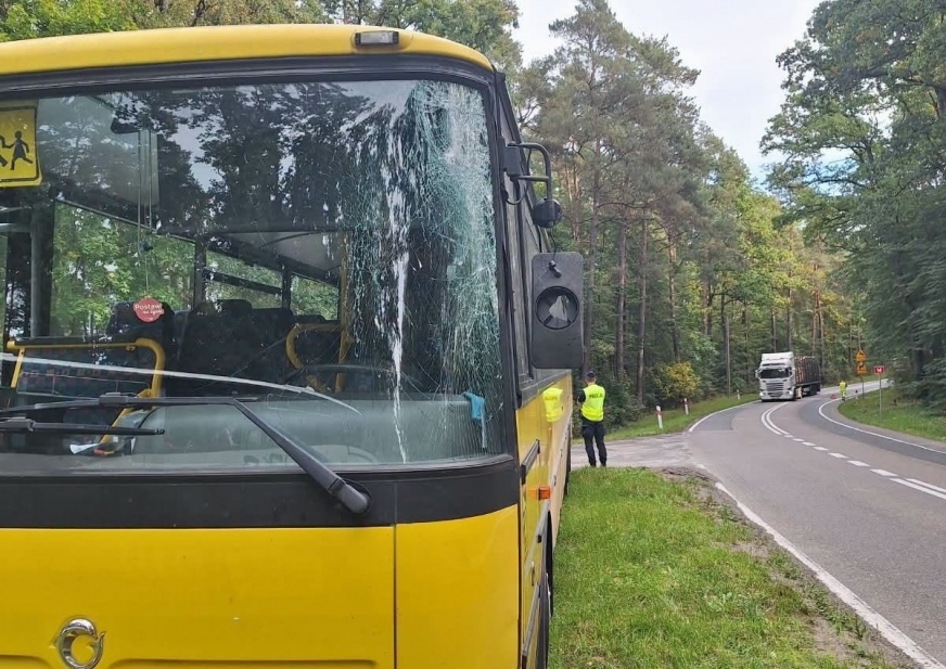 Uszkodzony autokar z dziećmi i zniszczone auto w Rakowicach. Kolizje ciężarówek na DK16 i DK15 w powiecie iławskim.