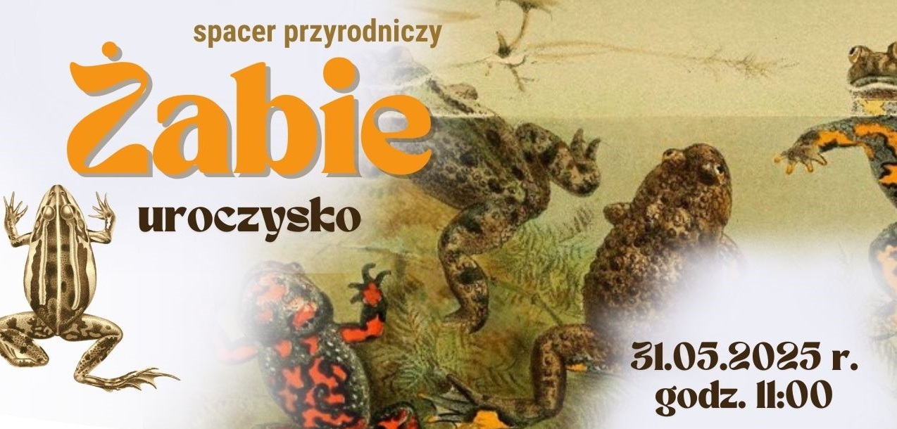 Spacer przyrodniczy na „Żabim Uroczysku” w Iławie