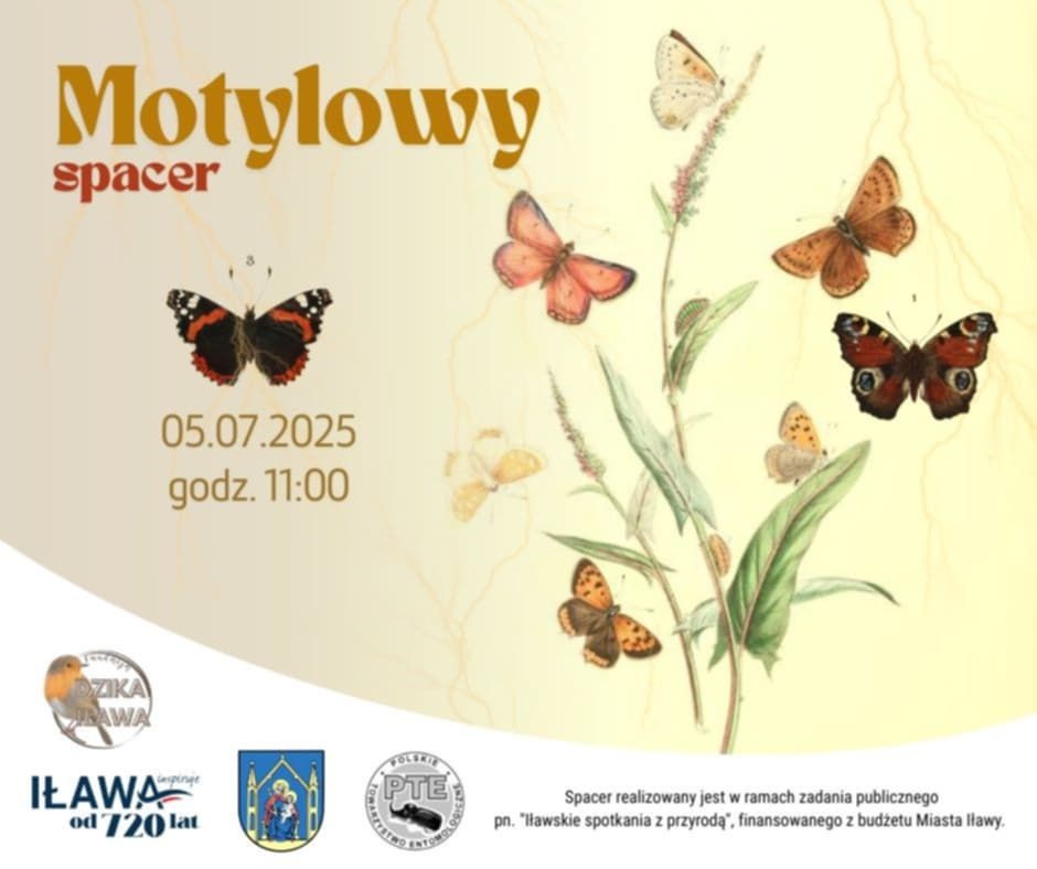 Motylowy spacer po Iławie