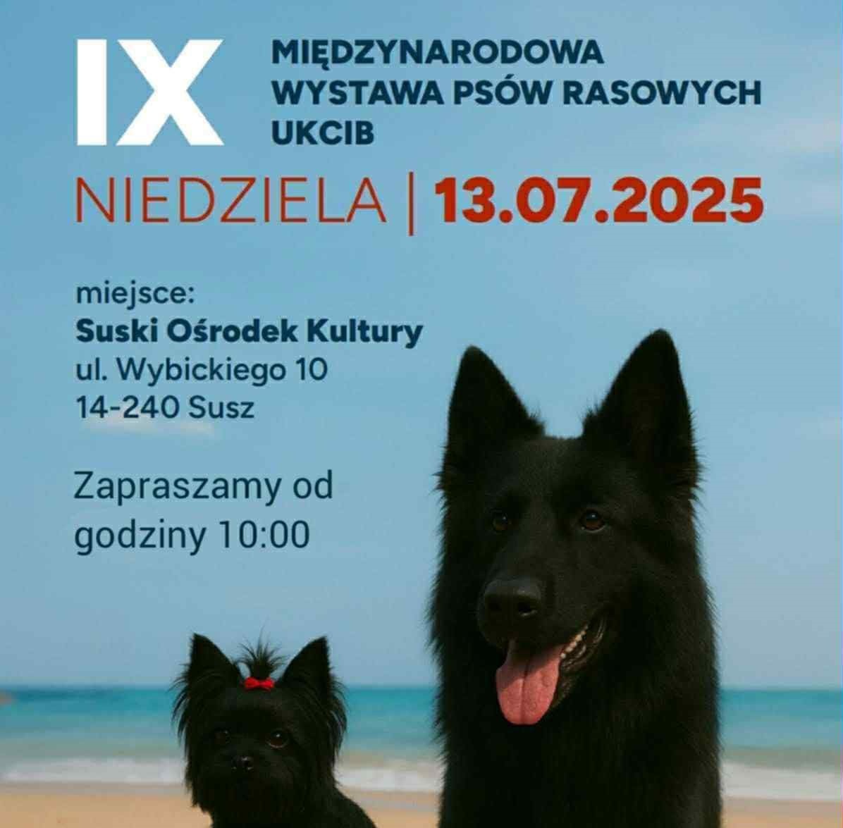 IX Międzynarodowa Wystawa Psów Rasowych