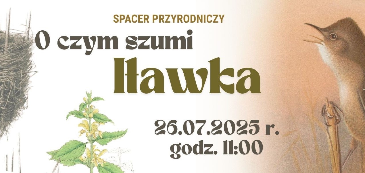 Spacer przyrodniczy nad Iławką